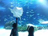 サンシャイン水族館に投稿された画像（2025/6/20）