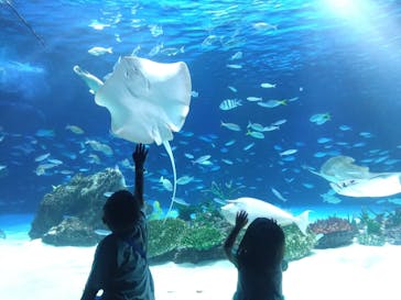 サンシャイン水族館に投稿された画像（2025/6/20）