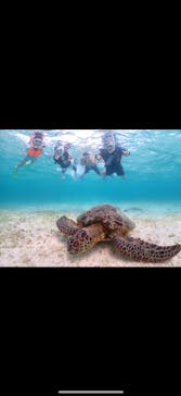 nico 宮古島に投稿された画像（2025/6/20）