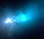 武藤潜水に投稿された画像（2025/6/20）