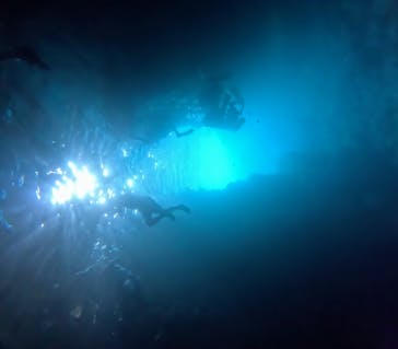 武藤潜水に投稿された画像（2025/6/20）