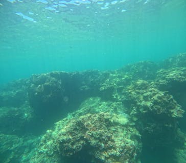 武藤潜水に投稿された画像（2025/6/20）