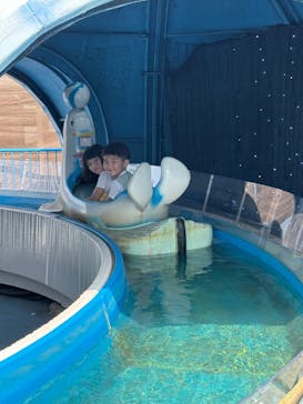 名古屋港シートレインランドに投稿された画像（2025/6/20）