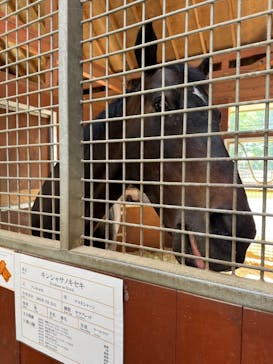 ノーザンホースパークに投稿された画像（2025/6/20）