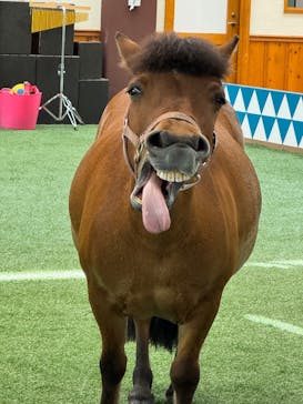 ノーザンホースパークに投稿された画像（2025/6/20）