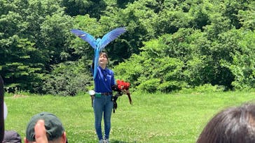 那須どうぶつ王国に投稿された画像（2025/6/20）