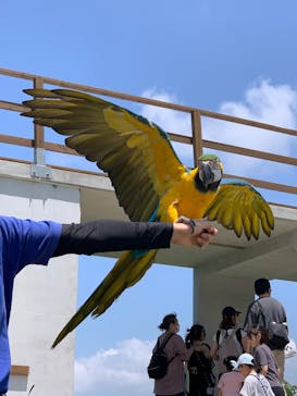 那須どうぶつ王国に投稿された画像（2025/6/20）