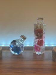 紙刃楽に投稿された画像（2025/6/20）