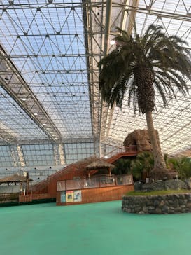 東京サマーランドに投稿された画像（2025/6/20）