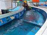 越前松島水族館に投稿された画像（2025/6/20）