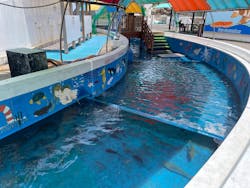 越前松島水族館に投稿された画像（2025/6/20）