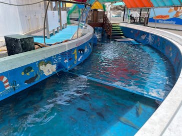 越前松島水族館に投稿された画像（2025/6/20）