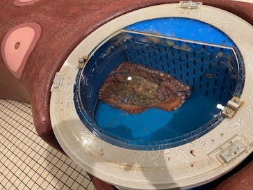 越前松島水族館に投稿された画像（2025/6/20）