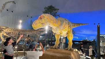 福井県立恐竜博物館に投稿された画像（2025/6/20）