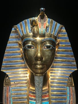 MYSTERY OF TUTANKHAMEN 体感型古代エジプト展に投稿された画像（2025/6/20）