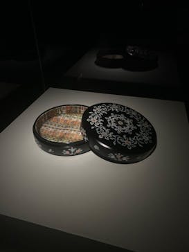 正倉院 THE SHOW －感じる。いま、ここにある奇跡－に投稿された画像（2025/6/20）