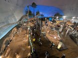 福井県立恐竜博物館に投稿された画像（2025/6/21）