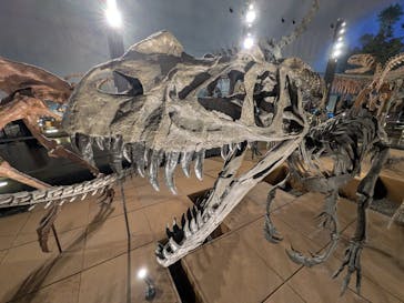福井県立恐竜博物館に投稿された画像（2025/6/20）