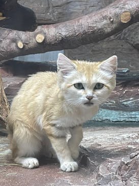 那須どうぶつ王国に投稿された画像（2025/6/20）