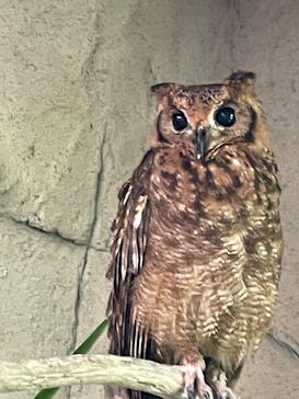 那須どうぶつ王国に投稿された画像（2025/6/20）