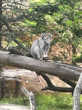 那須どうぶつ王国に投稿された画像（2025/6/20）
