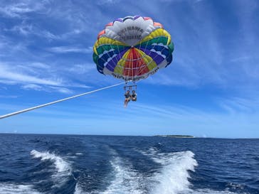 マリンショップ マーメイドに投稿された画像（2025/6/21）