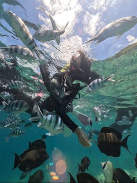 DIVING-SHOP SUNSに投稿された画像（2025/6/21）