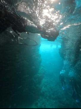 DIVING-SHOP SUNSに投稿された画像（2025/6/21）