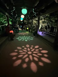 NAKEDヨルマイリ 2025-26 平安神宮に投稿された画像（2025/6/21）