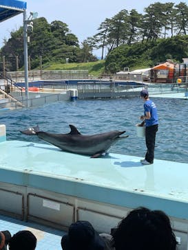 越前松島水族館に投稿された画像（2025/6/21）