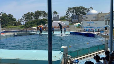 越前松島水族館に投稿された画像（2025/6/21）