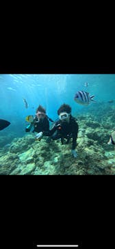 武藤潜水に投稿された画像（2025/6/21）