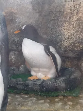 仙台うみの杜水族館に投稿された画像（2025/6/21）