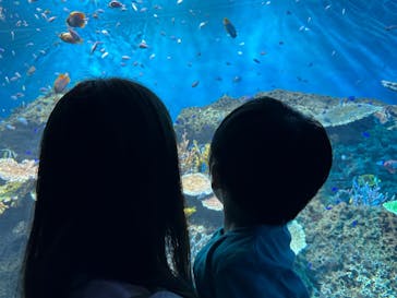 アクアワールド茨城県大洗水族館に投稿された画像（2025/6/21）