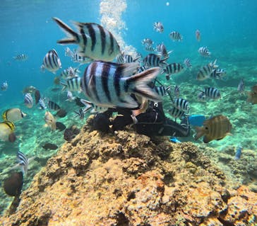 沖縄マリンサービス碧に投稿された画像（2025/6/21）