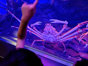 仙台うみの杜水族館に投稿された画像（2025/6/21）