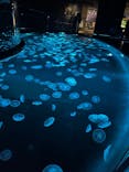 すみだ水族館に投稿された画像（2025/6/21）