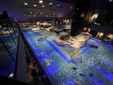 すみだ水族館に投稿された画像（2025/6/21）