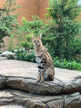 那須どうぶつ王国に投稿された画像（2025/6/21）