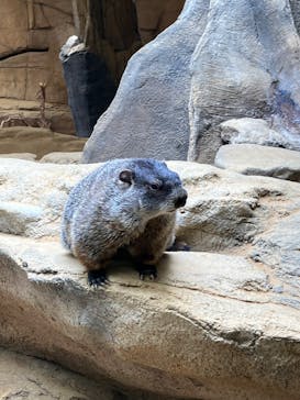 那須どうぶつ王国に投稿された画像（2025/6/21）