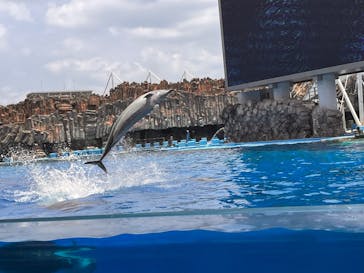 名古屋港水族館に投稿された画像（2025/6/21）