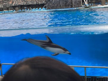 名古屋港水族館に投稿された画像（2025/6/21）