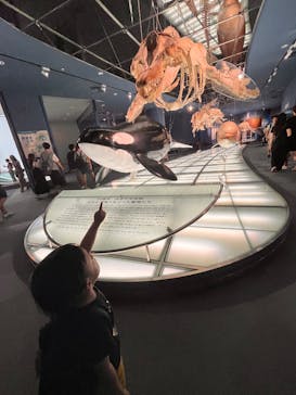 名古屋港水族館に投稿された画像（2025/6/21）