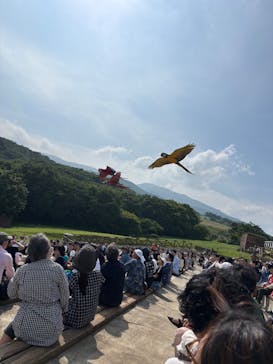 那須どうぶつ王国に投稿された画像（2025/6/21）