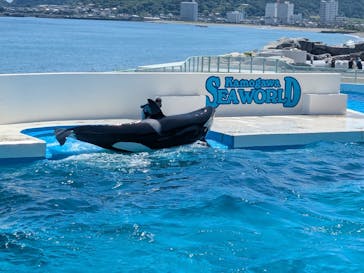 鴨川シーワールドに投稿された画像（2025/6/21）