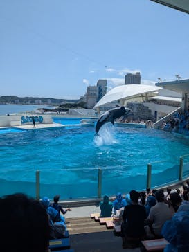 鴨川シーワールドに投稿された画像（2025/6/21）