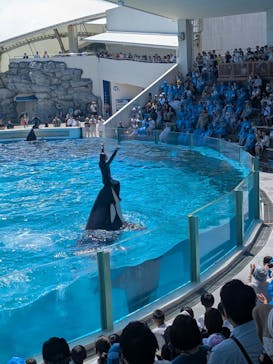 鴨川シーワールドに投稿された画像（2025/6/21）