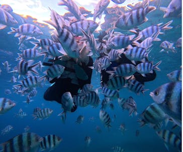 武藤潜水に投稿された画像（2025/6/21）