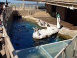 アクアワールド茨城県大洗水族館に投稿された画像（2025/6/21）