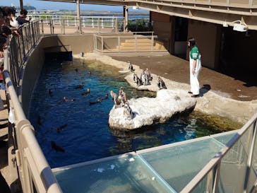 アクアワールド茨城県大洗水族館に投稿された画像（2025/6/21）